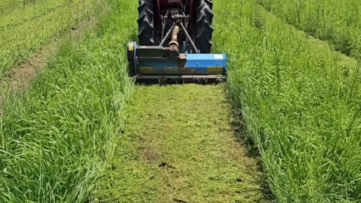 Kosiarka bijakowa do Ursus C-330 – jaką kosiarkę wybrać?