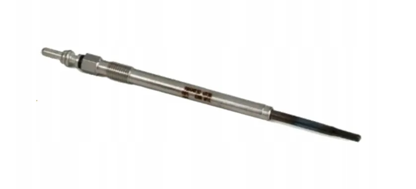 CASE SWIECA ZAROWA