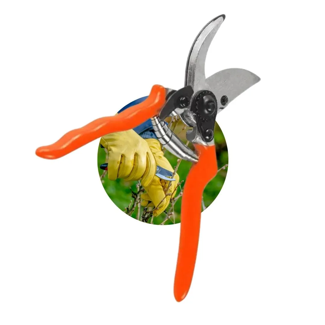 Sekator nożycowy - jednoręczny - uniwersalny / TEGER | zdjęcie 1 z 5 | T-O-NONIS007 | Motofarma.pl