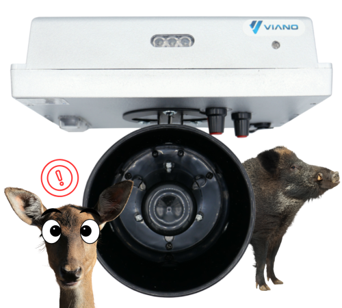 eca8c107d83d483b9409ed74e2fd53ef.png